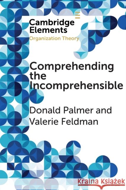 Comprehending the Incomprehensible: Organization Theory and Child Sexual Abuse in Organizations Palmer, Donald 9781108439299 Cambridge University Press