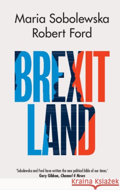 Brexitland: Identity, Diversity and the Reshaping of British Politics Sobolewska, Maria 9781108473576 Cambridge University Press