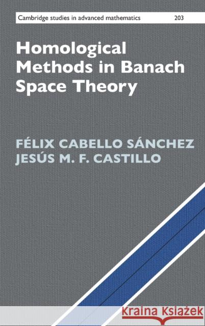 Homological Methods in Banach Space Theory Jesus M. F. (Universidad de Extremadura, Spain) Castillo 9781108478588 Cambridge University Press