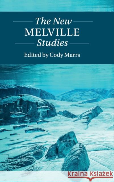 The New Melville Studies Marrs, Cody 9781108484039 Cambridge University Press