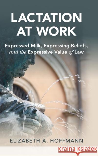 Lactation at Work: Expressed Milk, Expressing Beliefs, and the Expressive Value of Law Elizabeth A. Hoffmann 9781108488549 Cambridge University Press