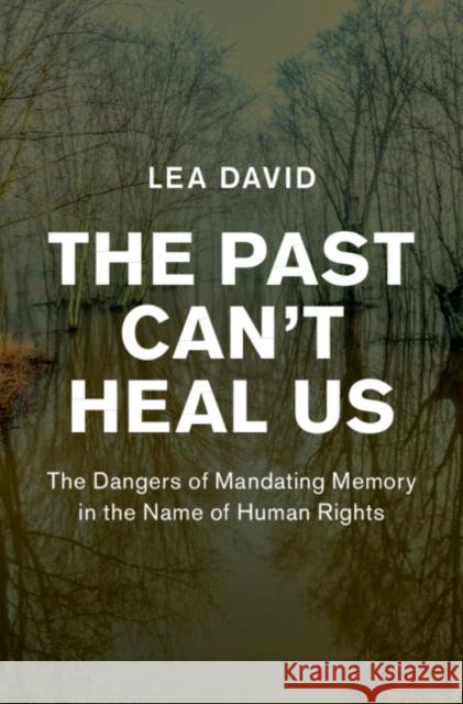 The Past Can't Heal Us: The Dangers of Mandating Memory in the Name of Human Rights Lea David 9781108495189 Cambridge University Press