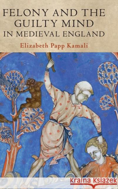 Felony and the Guilty Mind in Medieval England Elizabeth Papp Kamali 9781108498791 Cambridge University Press