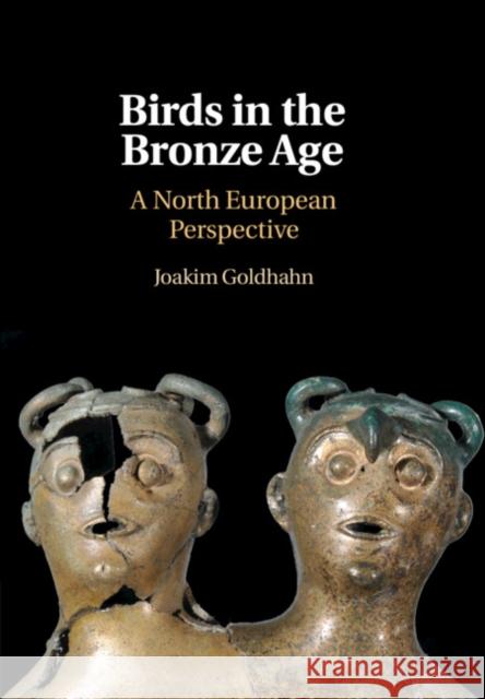 Birds in the Bronze Age: A North European Perspective Goldhahn, Joakim 9781108499095 Cambridge University Press