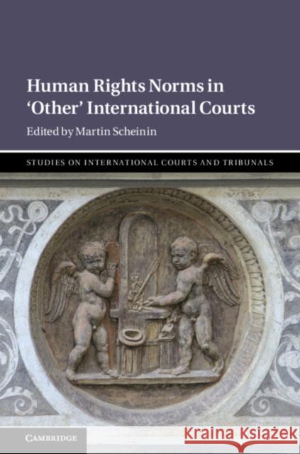 Human Rights Norms in 'Other' International Courts Scheinin, Martin 9781108499736