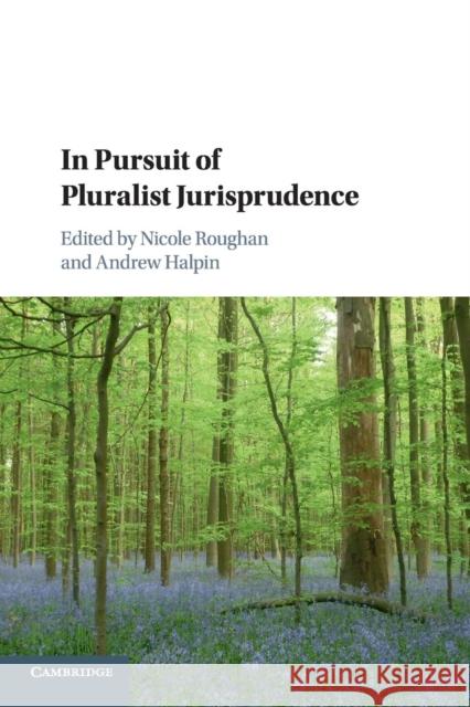 In Pursuit of Pluralist Jurisprudence Nicole Roughan Andrew Halpin 9781108707251 Cambridge University Press