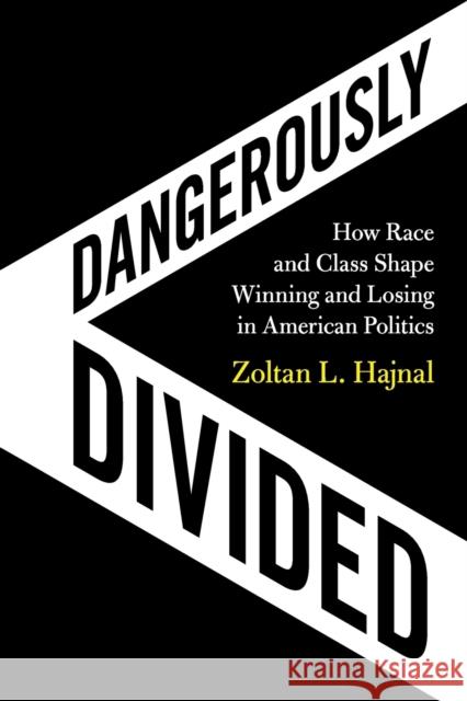 Dangerously Divided: How Race and Class Shape Winning and Losing in American Politics Zoltan L. Hajnal (University of California, San Diego) 9781108719728