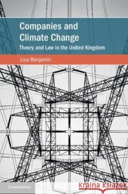 Companies and Climate Change Lisa Benjamin 9781108723473 Cambridge University Press