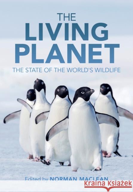 The Living Planet: The State of the World's Wildlife MacLean, Norman 9781108731652