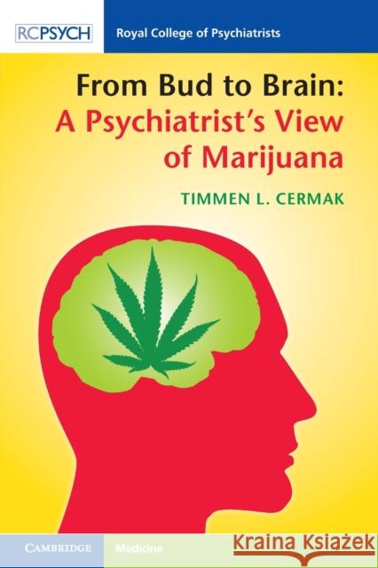 From Bud to Brain: A Psychiatrist's View of Marijuana Timmen L. Cermak 9781108735735 Cambridge University Press