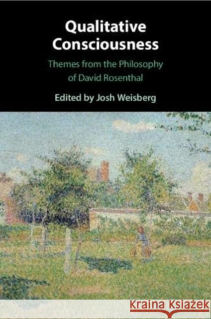 Qualitative Consciousness  9781108738132 Cambridge University Press