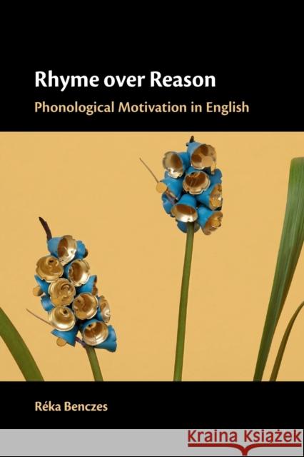 Rhyme Over Reason: Phonological Motivation in English R Benczes 9781108740746 Cambridge University Press