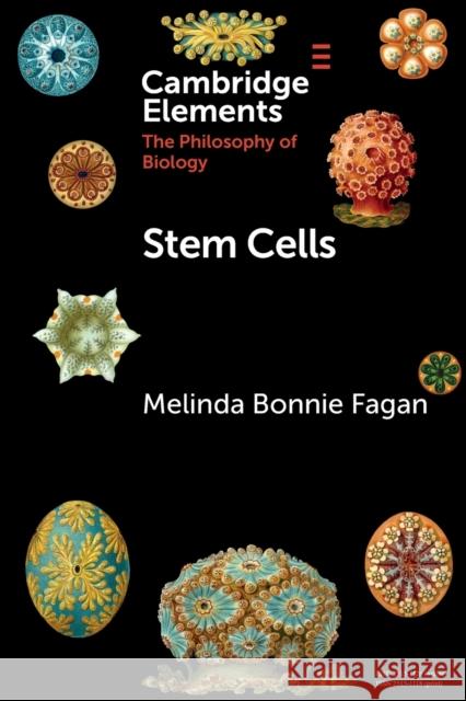 Stem Cells Melinda Bonnie Fagan 9781108741712