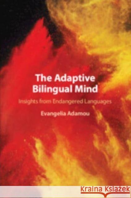 The Adaptive Bilingual Mind Evangelia (Centre National de la Recherche Scientifique (CNRS), Paris) Adamou 9781108813273