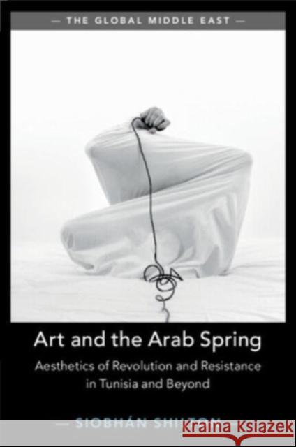 Art and the Arab Spring Siobhan (University of Bristol) Shilton 9781108829366 Cambridge University Press