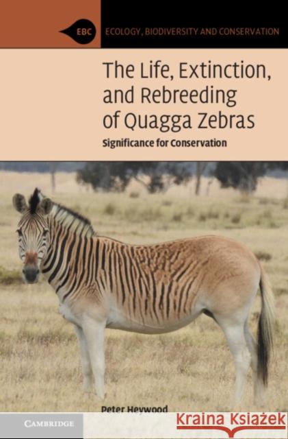 The Life, Extinction, and Rebreeding of Quagga Zebras: Significance for Conservation Heywood, Peter 9781108831604 Cambridge University Press