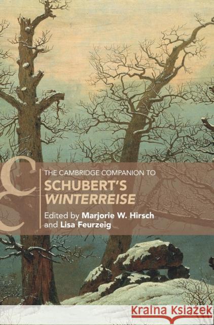 The Cambridge Companion to Schubert's 'Winterreise' Marjorie W. Hirsch Lisa Feurzeig 9781108832847 Cambridge University Press