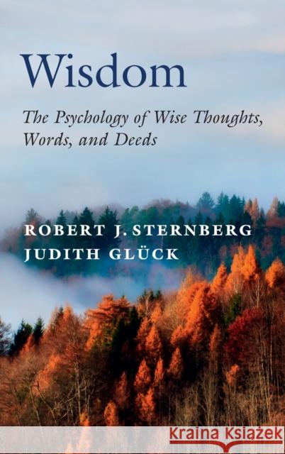 Wisdom: The Psychology of Wise Thoughts, Words, and Deeds Sternberg, Robert J. 9781108841559