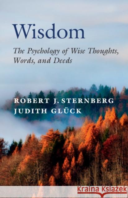 Wisdom: The Psychology of Wise Thoughts, Words, and Deeds Sternberg, Robert J. 9781108841566 Cambridge University Press