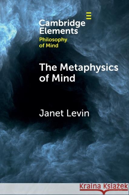 The Metaphysics of Mind Janet (University of Southern California) Levin 9781108925075 Cambridge University Press