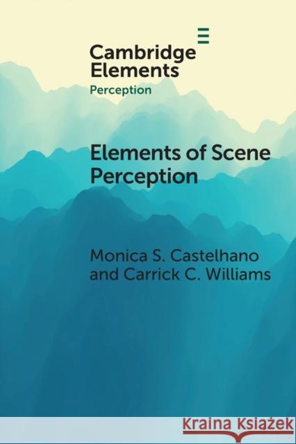 Elements of Scene Perception Castelhano, Monica S. 9781108932714 Cambridge University Press