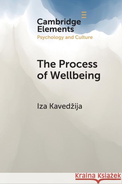 The Process of Wellbeing Iza (University of Cambridge) Kavedzija 9781108940825 Cambridge University Press