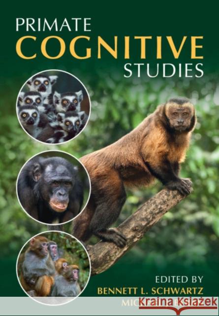 Primate Cognitive Studies  9781108958196 Cambridge University Press