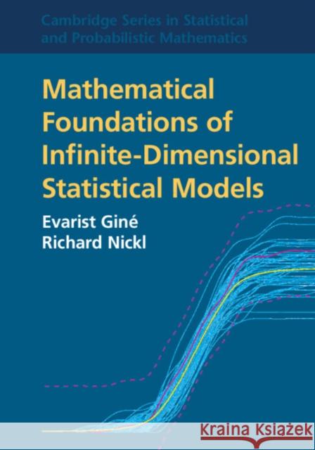 Mathematical Foundations of Infinite-Dimensional Statistical Models Richard (University of Cambridge) Nickl 9781108994132