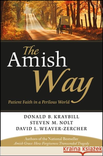 The Amish Way: Patient Faith in a Perilous World Kraybill, Donald B. 9781118152768 0