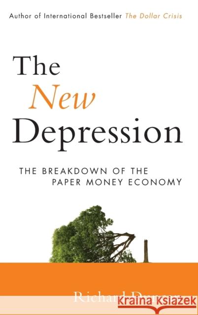 The New Depression: The Breakdown of the Paper Money Economy Duncan, Richard 9781118157794