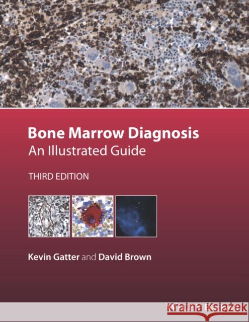Bone Marrow Diagnosis: An Illustrated Guide Gatter, Kevin; Brown, David 9781118253656