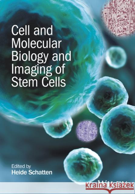 Cell and Molecular Biology and Imaging of Stem Cells Schatten, Heide 9781118284100 John Wiley & Sons
