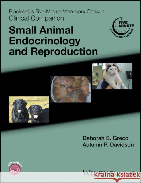 Blackwell's Five-Minute Veterinary Consult Clinical Companion: Small Animal Endocrinology and Reproduction Greco, Deborah S. 9781118356371 John Wiley & Sons