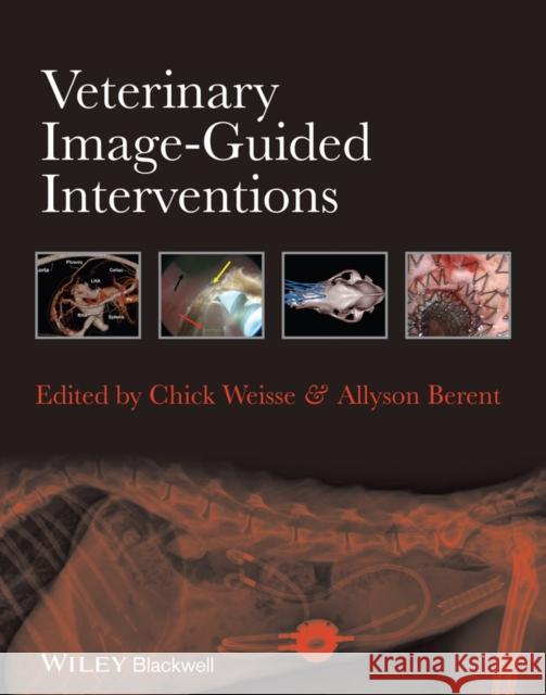 Veterinary Image-Guided Interventions Weisse, Chick; Berent, Allyson 9781118378281