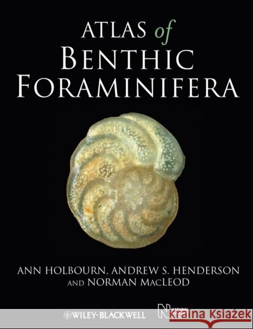 Atlas of Benthic Foraminifera Holbourn, Ann; Henderson, Andrew; The Natural History Museum,  9781118389805 John Wiley & Sons