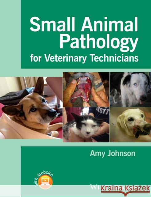 Small Animal Pathology for Veterinary Technicians Johnson, Amy 9781118434215 John Wiley & Sons