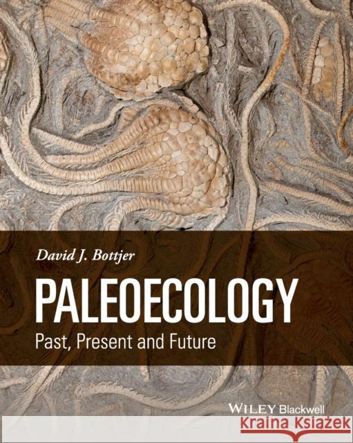 Paleoecology: Past, Present and Future Bottjer, David J. ,Professor 9781118455845