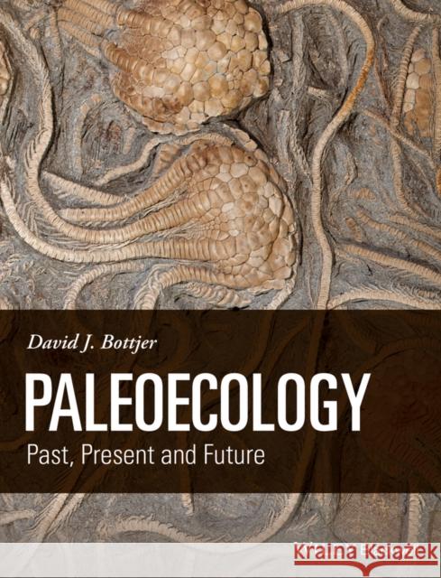 Paleoecology: Past, Present and Future Bottjer, David J. ,Professor 9781118455869