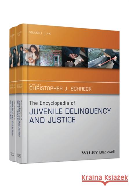 The Encyclopedia of Juvenile Delinquency and Justice Schreck, Christopher J.; Lieber, Michael; Miller, Holly Ventura 9781118520321