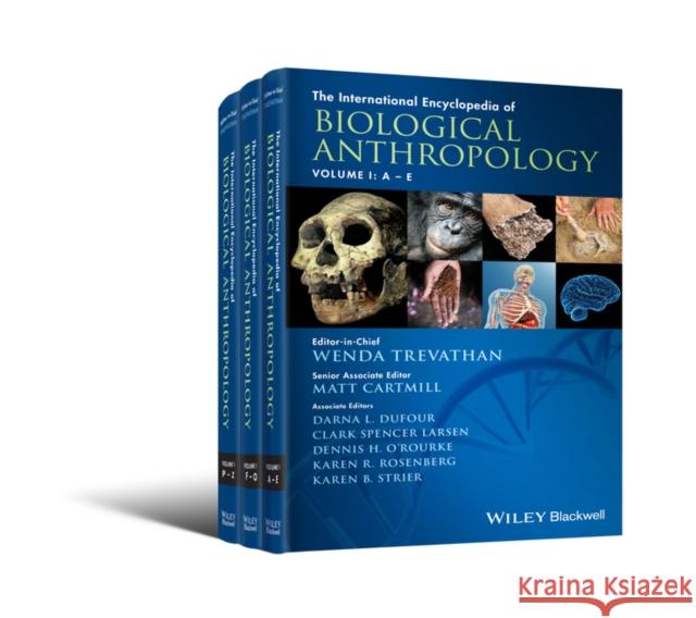 The International Encyclopedia of Biological Anthropology Trevathan, Wenda 9781118584422