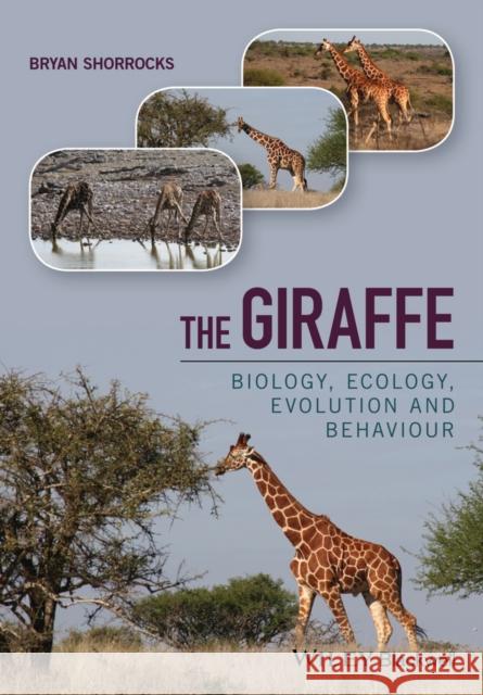 The Giraffe: Biology, Ecology, Evolution and Behaviour Shorrocks, Bryan 9781118587478 Wiley-Blackwell