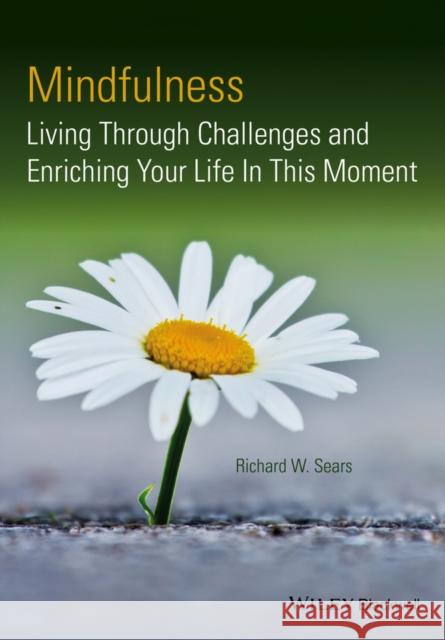 Mindfulness Sears, Richard W. 9781118597576