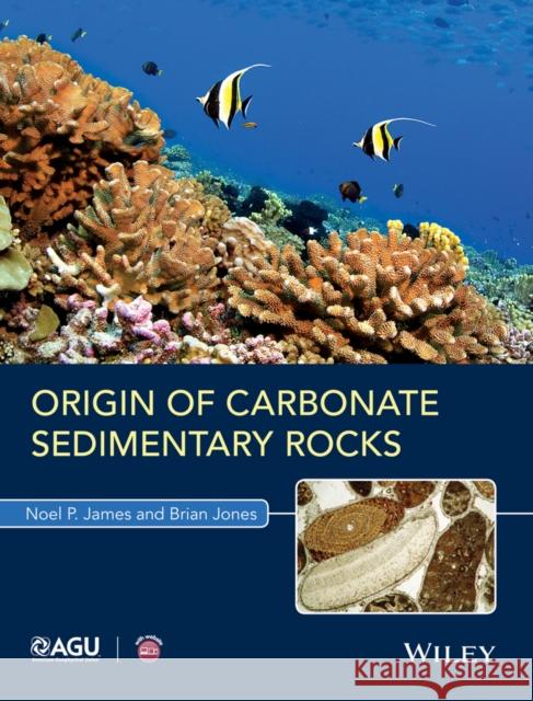 Origin of Carbonate Sedimentary Rocks James, Noel P.; Jones, Brian 9781118652701