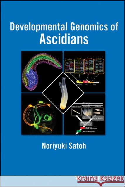 Developmental Genomics of Ascidians Satoh, Noriyuki 9781118656181 John Wiley & Sons