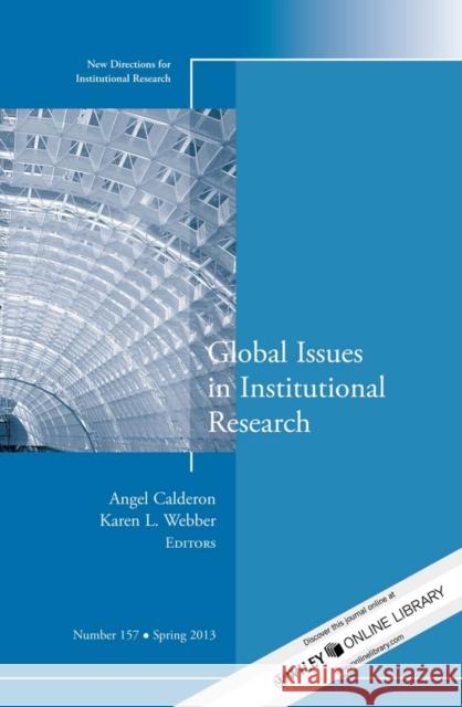 Global Issues in Institutional Research: New Directions for Institutional Research, Number 157 Angel Calderone, Karen L. Webber 9781118714355 John Wiley & Sons Inc