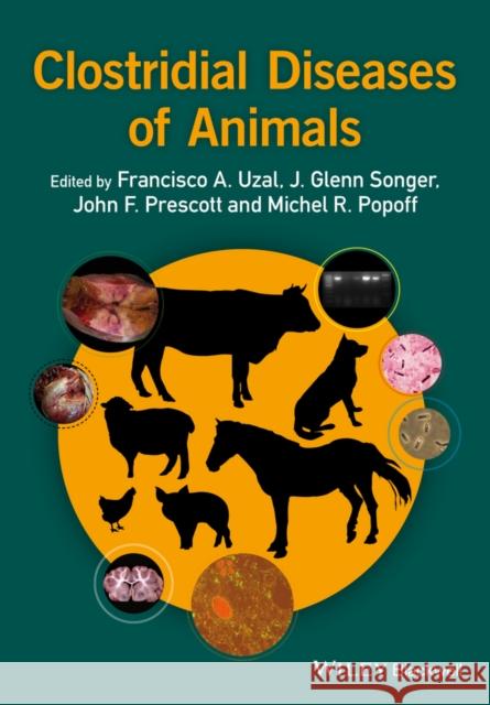 Clostridial Diseases of Animals Francisco A. Uzal J. Glenn Songer John F. Prescott 9781118728406