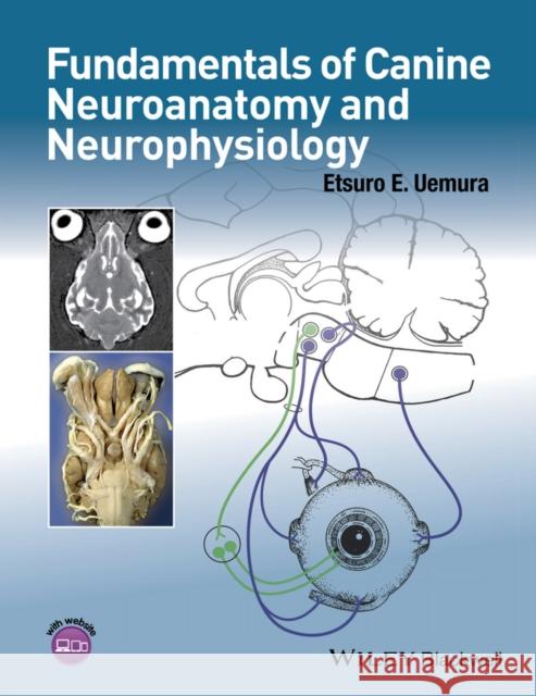 Fundamentals of Canine Neuroanatomy and Neurophysiology Uemura, Etsuro 9781118771761 John Wiley & Sons