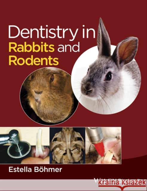 Dentistry in Rabbits and Rodents Böhmer, Estella 9781118802540 John Wiley and Sons Ltd