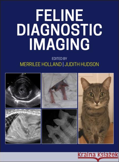 Feline Diagnostic Imaging Judith Hudson Merrilee Holland 9781118840948