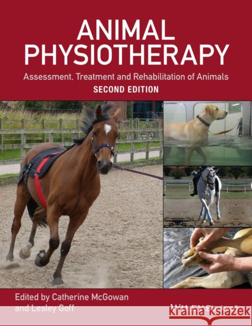 Animal Physiotherapy: Assessment, Treatment and Rehabilitation of Animals Goff, Lesley 9781118852323 John Wiley and Sons Ltd